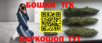прущие крисы Новозыбков