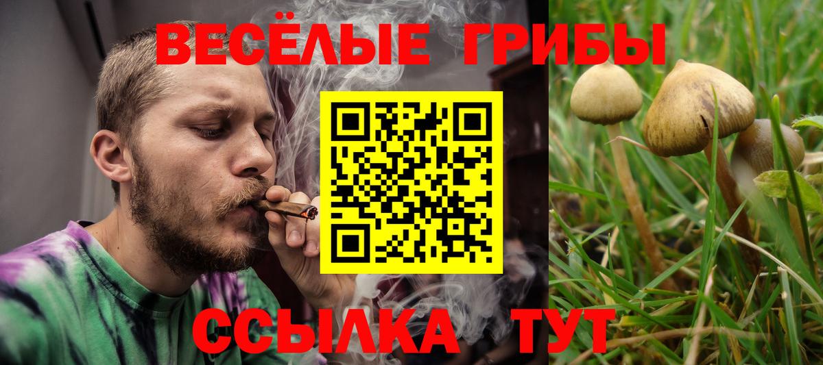 Галлюциногенные грибы мицелий  Вход с VPN  Галлюциногенные грибы Psilocybe  Таганрог 